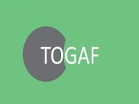 Togaf exam fee